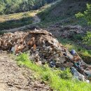 내방2리 이미지