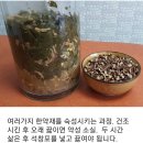 2.4 우울증, 공황장애 이미지