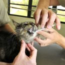 청라종합동물병원 이미지