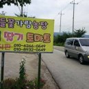 가람컨설팅