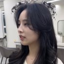 하올디자인 이미지