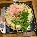 토라야 | [일본 교토] 교토 폰토초 모츠나베 맛집 토라야 솔직 후기 (예약 팁)