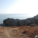 선창농장 이미지