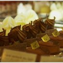 코안도르 이미지