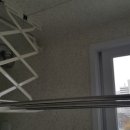 도화 다우림 이미지