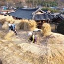 의령 상정리 조씨고가 이미지