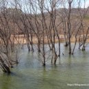고복자연공원 갈대습지원 이미지