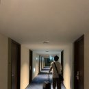 사가치킨 | 사가·가라쓰 1일차 | 사가 맛집 추천, 가라쓰로 이동까지