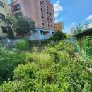 태복공인중개사사무소 이미지