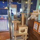 멍이와쿤이 | 청주 아이와 함께 가기 좋은 곳 찾다가 발견한 멍이와 쿤이, 직접 가본 후기