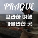 동광장 | 동유럽 체코 프라하 여행 가볼만한 곳 방문 후기(바츨라프 광장, 프라하성, 구시가지, 카를교)