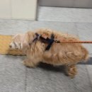 몽클라우드 이미지