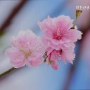 인천신생요양원
