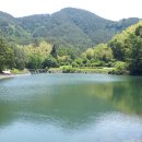 맹종죽순체험길 이미지