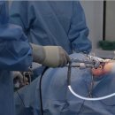 세계로동물의료센터 이미지