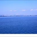 나래투어 - 중구 국채보상로 655 | 나래투어