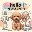 대전 애견미용 헬로제이 이용후기