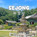 비암사 | 세종 가볼만한 곳 전의면 비암사 드라이브 코스로 딱