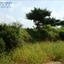 안산에이스환경 네이버블로그