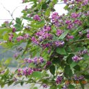 반동주유소 이미지