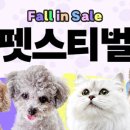 같이