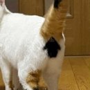 요기가거기 이미지