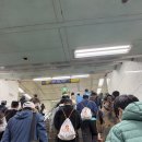 하프 | MBN 서울 마라톤 하프코스 후기 (2025.11.16)