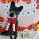 땡자네 묭실 이미지