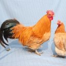 현인농원 이미지