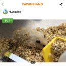 청조동물병원 이미지