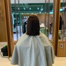 강남 에드비 붙임머리 후기 (feat. 배담쌤 ♪・)