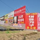 30 | 울산가구점 리퍼보다 싼 곳에서 쇼파까지 득템한 후기