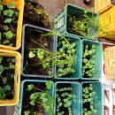 성환 행정사 사무소 이미지