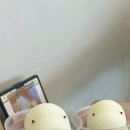 커피애광
