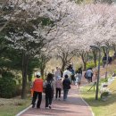 탕정면 삼성로 이미지