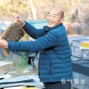김윤식벌꿀