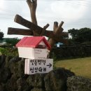 일출언덕신산게스트하우스 이미지