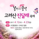 고려산 진달래 축제 이미지