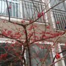 삼단지농장 이미지