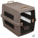 샤인트래블 이미지