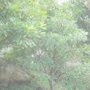 아침풍경 이미지