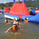 경희대 진명태권도 이미지