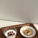 애견동반 애견촬영 가능 카페 겸 스튜디오 펫온 도그훅 설치 후기 펫푸치노 멍푸치노 강아지머핀 판매