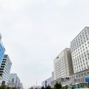 몬스터부동산중개사무소 이미지