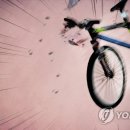 .탄 이미지