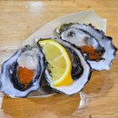 (주)레인폴소프트 | [호주/멜버른🇦🇺] 7박 8일 여행ㅣ프롤로그 1편