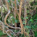 화가의정원 이미지