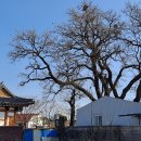 미산정미소 이미지