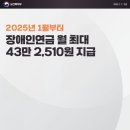 2025 장애인연금 월 최대 43만 2510원 지급 이미지