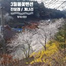 개나리펜션 이미지